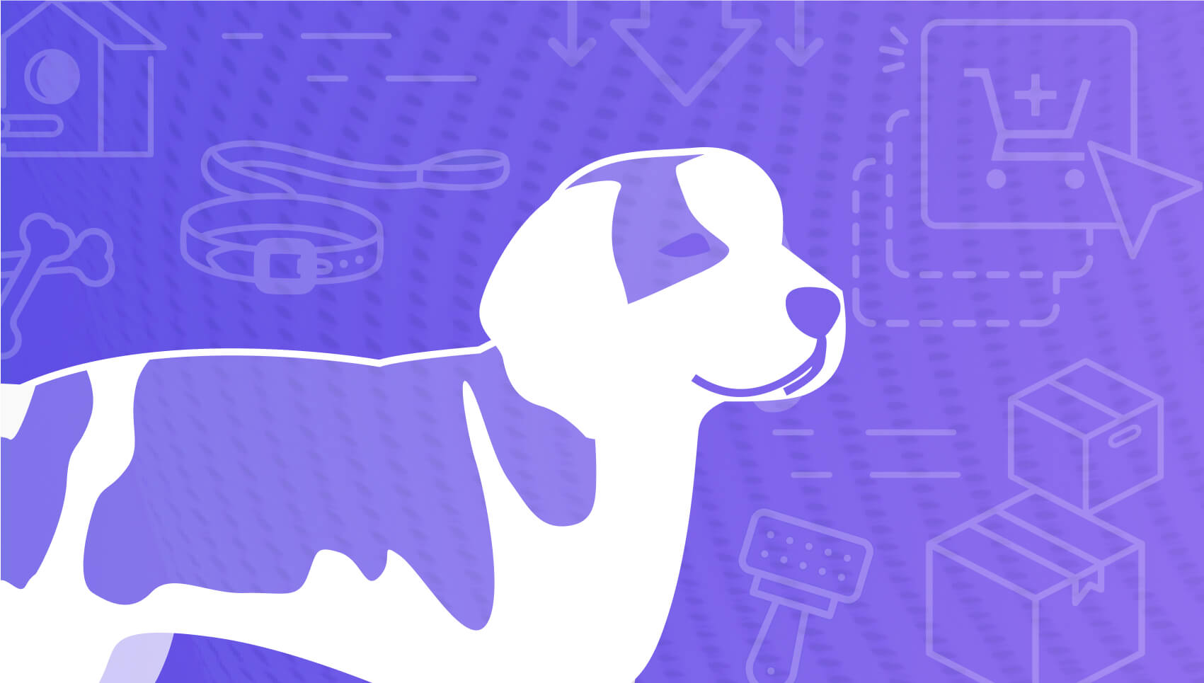 dropshipping pet products